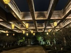 -长田漾湿地公园