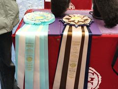 -鑫艺宠物美容培训学校