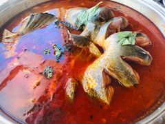 -芦苇荡·酸汤鱼(回龙观店)