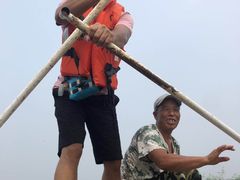 -白洋淀景区