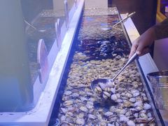 -聚盛源蒸汽海鲜火锅烤肉自助(巨川金海岸购物广场店)