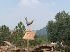 -杭州长乔极地海洋公园