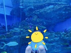 -海合安成都极地海洋公园