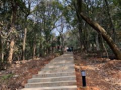 -岳麓山风景名胜区