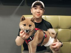 -百好乐宠物友好餐厅(朝外大街店)