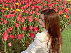 -洛阳郁金香牡丹园