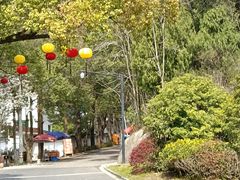 -大慈岩风景区