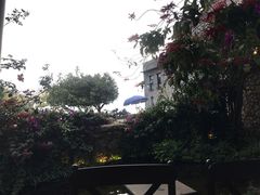 -大理老字号·舟渔的鱼野生菌海景餐厅(双廊店)