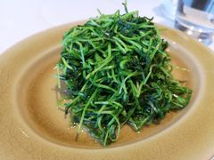 -君悦大酒店行政酒廊