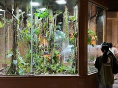 -帕帕拉兹宠物(亚洲旗舰店)