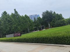 -大望京公园
