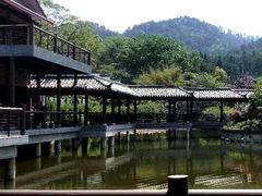 -黄陂区野村谷景区