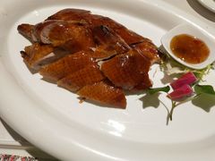 -同庆楼(滨湖万达广场店)