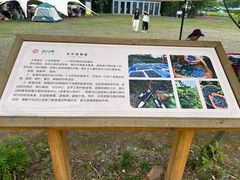 -金谷域澳洲庄园