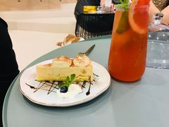 提拉米苏-飞行喵MR PILOT|猫舍·猫咖(静安大融城店)