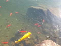 -白马涧龙池景区