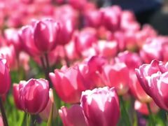 -长春公园(普阳街道)