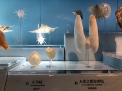 -温州博物馆