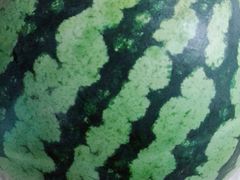 -城市名人壹超市(万达店)