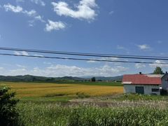 -富田农场