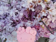-安吉Hello Kitty乐园
