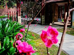 -桃花涧