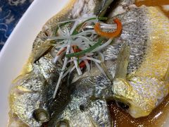 清蒸东海黄鱼-華僑飯店中餐厅