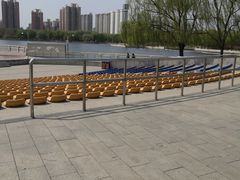 -莲花池公园