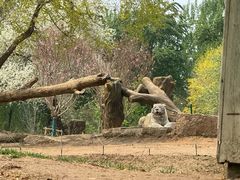 -北京野生动物园