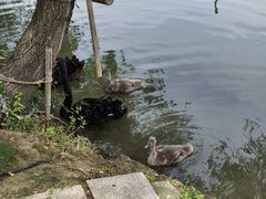 -长兴太湖图影湿地文化园