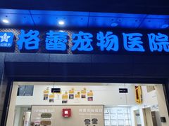 -格蕾宠物医院24H·猫科·肿瘤科·骨科中心(福州总院)