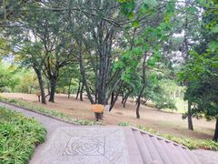 -青岛德国总督楼旧址博物馆