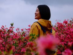 -木兰云雾山