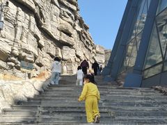 -辽宁古生物博物馆