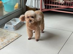 -创凡宠物医院·骨专科  猫科中心(西乡分院)