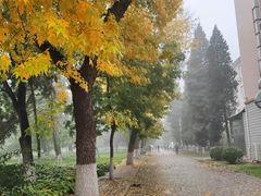 -北京邮电大学