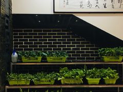 -名羊天下陕北横山铁锅炖羊肉(博文路店)