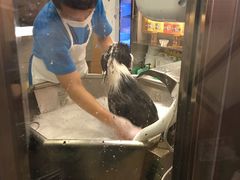 -PETKIT小佩宠物(古北店)