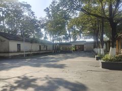 -东莞市大岭山森林公园