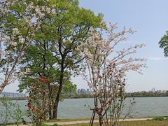 -宝界山林公园