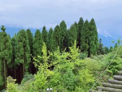 -钟鼎寺