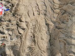 -西涌国际滨海旅游区