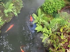 -Chom Cafe and Restaurant