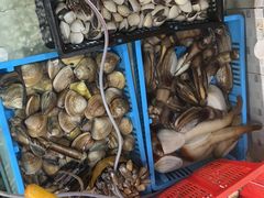 -沙田台山海鲜·酣客酒窖