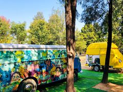 -北京西山国家森林公园