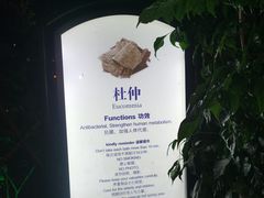 -深圳东部华侨城茵特拉根酒店
