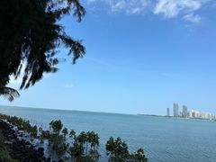 -龙泉人椰子鸡·糟粕醋·地标海南菜(龙昆南店)