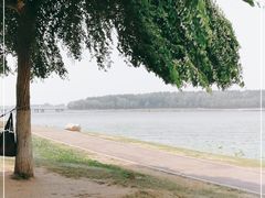 -丁香湖公园