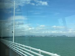 -龙城大药房