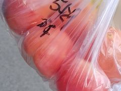 -光明驾校·学车·陪驾(川沙店)